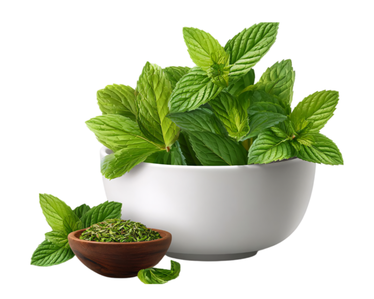 Mint Products