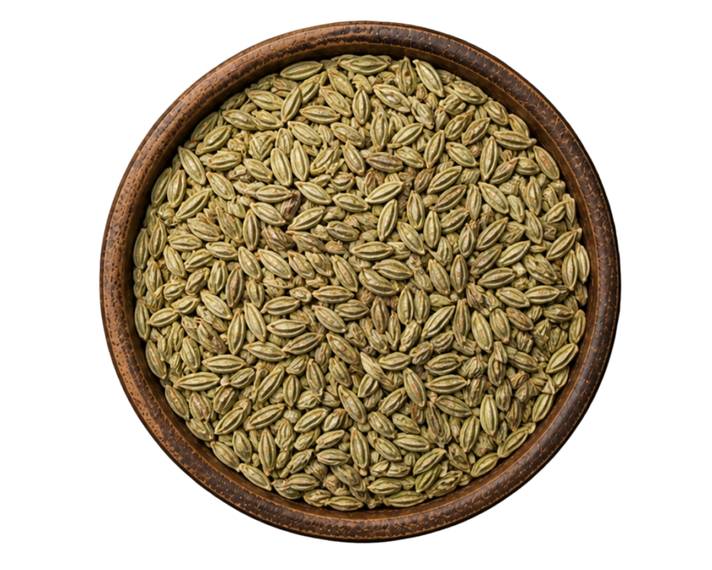 Fennel Seeds
